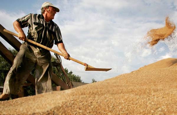 Фермеры могут отобрать 250 млн грн у Колесникова и Ахметова