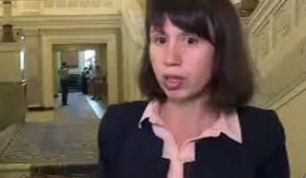 Чорновол: Тимошенко уничтожает Тетерука из-за желания снять ренту с предприятий Онищенко
