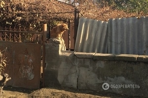 Колония России: как живут села непризнанного Приднестровья