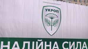 Переполох в Николаевском «Укропе» — местные организации хотят переизбрать главу партии в области