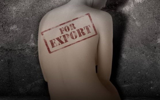 Закарпатська поліція перекрила канал постачання секс-рабинь до Німеччини