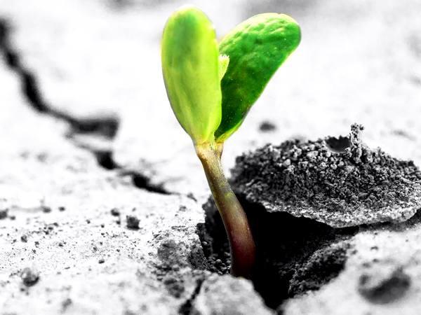 Украина: 16 реформ и 10 провалов