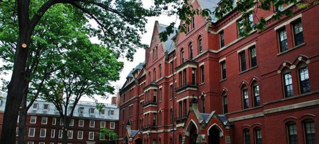 Українці можуть безкоштовно вчитися в Гарварді за умови, що повернуться жити на батьківщину