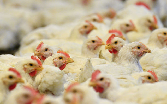 Кінець стосункам. Російсько-українські торговельні війни дійшли до логічної розв’язки