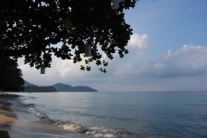 На российском туристическом рынке началась паника