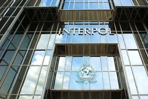 Интерпол объявил в розыск 13 террористов с Донбасса