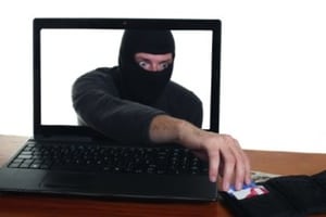 Дармовые авто и бесплатные животные: названы самые популярные схемы развода на OLX