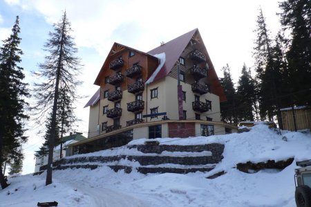 Массовая резня на известном курорте в Закарпатье: есть пострадавшие