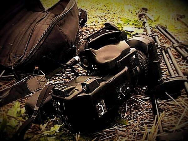 Ждите ответа