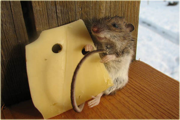 Как халява губит Украину