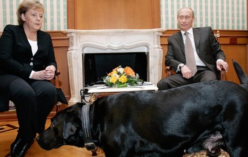 «Я не хотел пугать Ангелу Меркель своей собакой» - Владимир Путин