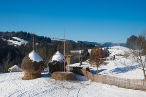 Карпаты: здесь никогда не примут советский союз. Стрелять будут....