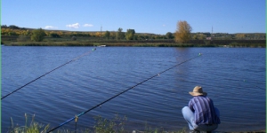 Орендар не має права забороняти любительське рибальство на водоймі