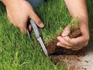 При содействии Кличко в столице повторно украли 147 гектаров Беличанского леса