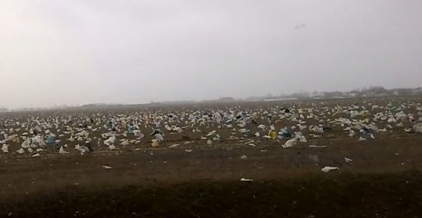«Русский мир» довел Крым до «засевания» полей мусором (видео)