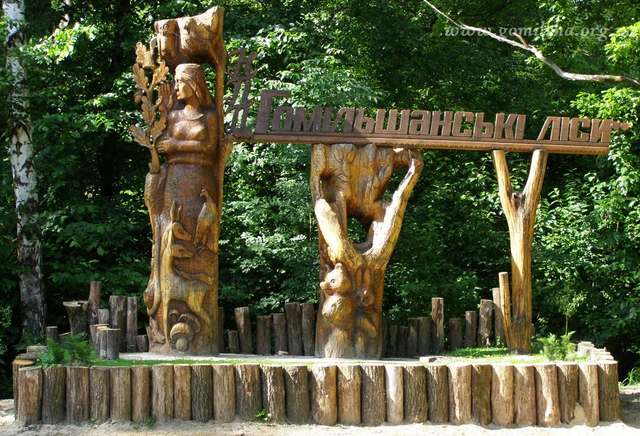 In Kharkiv region, there are plans to privatize the lands of the national park "Homilsha Woods"