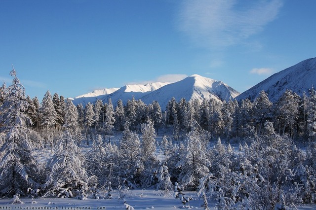 В России хотят переселить беженцев с Донбасса в Сибирь