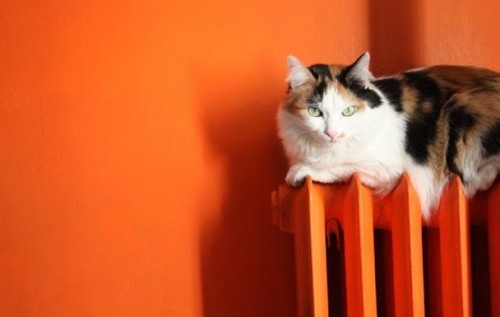 Тарифна змова. Монополісти готують новий тепловий удар?