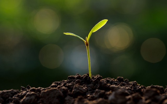 Торговать землей можно будет с 2017 года