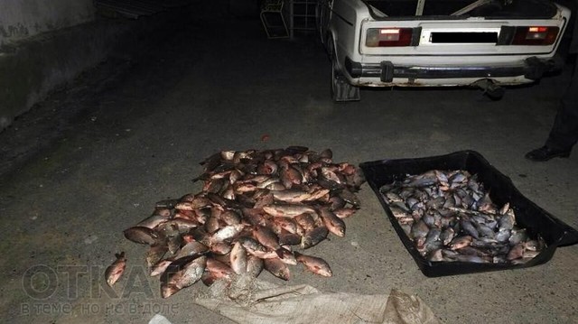 Одесская область: у пограничников «богатый улов» браконьеров