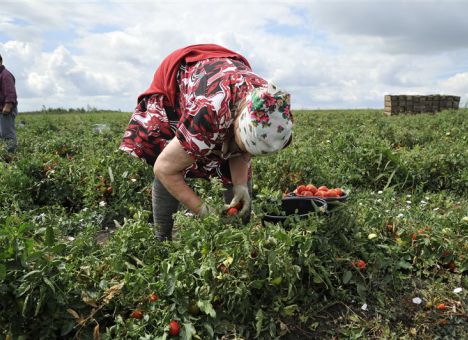 Кризис вернул украинцев к лопатам и грядкам