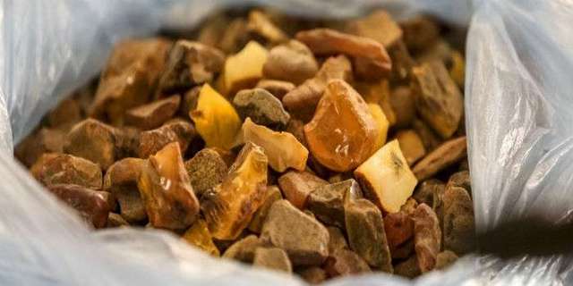 СБУ ликвидировала киевский подпольный цех по обработке янтаря (ФОТО)