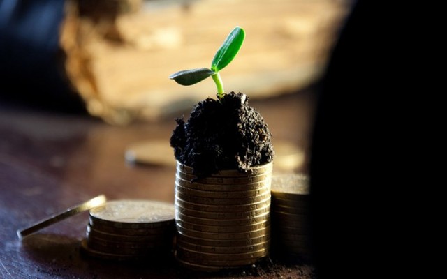 С начала года доходы бюджета выросли на 17% — Госказначейство