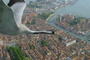 Италия сняла ограничения для украинских авиакомпаний