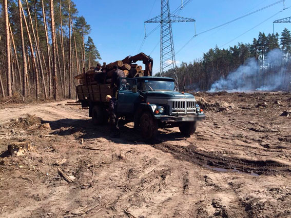 На Київщині на хабарі затримано майстра лісу
