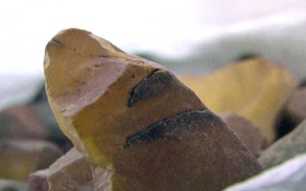 Полиция разгромила крупный международный клан «янтарной мафии»