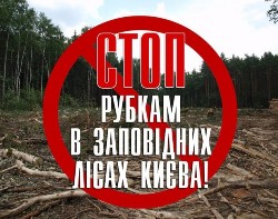“Стоп рубкам в лісах Києва!” – петиція до Київміськради