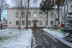 Депутаты захватили поселковый совет в Киевской области