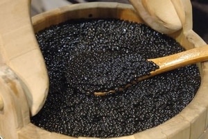 В Киеве вооруженные бандиты украли четыре килограмма черной икры