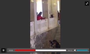 У мережі гадають над дивною поведінкою дівчини в Раді