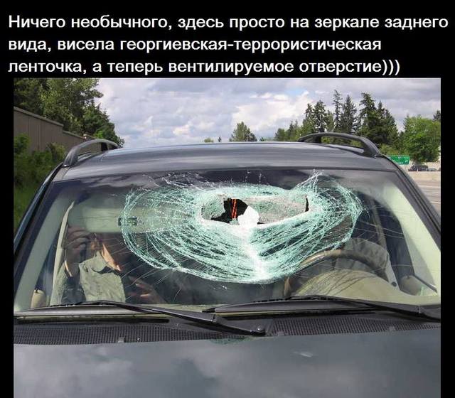 В Украине стартовала акция "Проветри ватника"