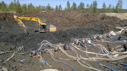 «Янтарная мафия» засосала в свои ряды «борющихся» с ней бойцов Нацгвардии