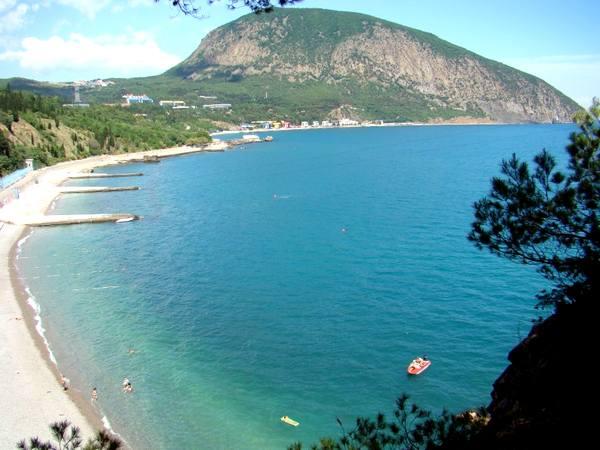 «Артек», немного инсайда