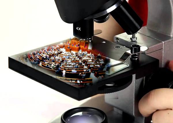 Депутат под микроскопом