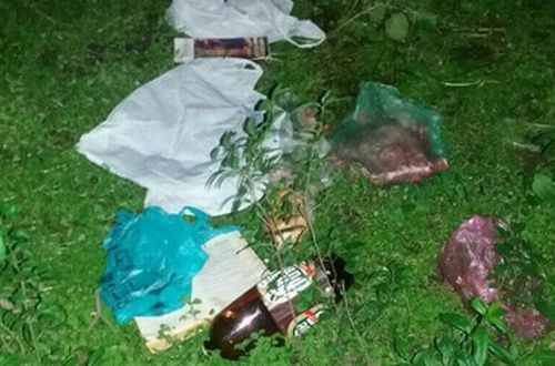 В Киеве полицейские спасли новорожденную девочку