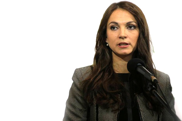 Гопко звернулась до генпрокурора перевірити всю господарську діяльність Садового