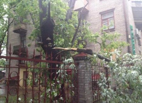 На Киев обрушился жуткий ливень и град