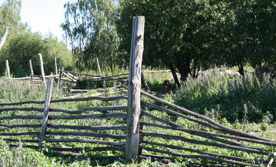 Жена координатора БПП получила землю в аренду по самой низкой цене