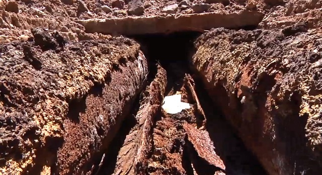 ДИРЕКТОР ИЛЬИЧЕВСКОГО ПОРТА «ДУШИТ» КРУПНОГО ЭКСПОРТЕРА