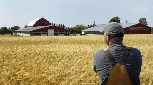 Фермерів знищують під відкриття ринку землі
