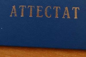 Пользователи Сети заметили ошибки в школьных аттестатах "ЛНР"