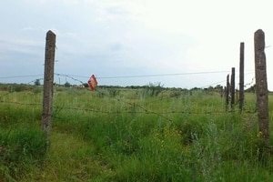 Командири ЗСУ відмовилися вивозити тіла загиблих воїнів АТО