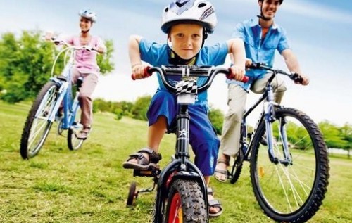 "Велосипедист - это настоящее бедствие для экономики", - Береза