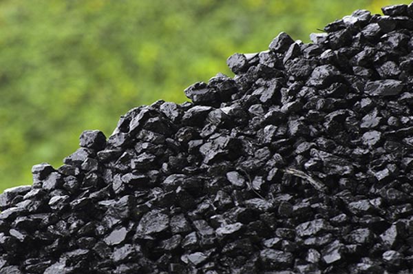 Зольный бизнес