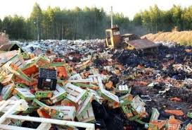 У Росії розчавили понад 7 тонн української черешні