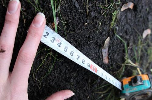 Жена руководителя Управления внутренней безопасности ГФС владеет 20 объектами недвижимости и несколькими земельными участками